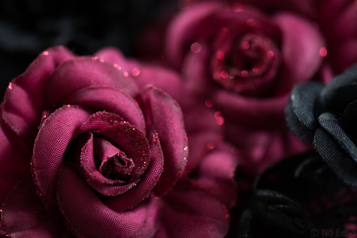 Roses Rouges par No Eelys, auteure du Boudoir de Nö