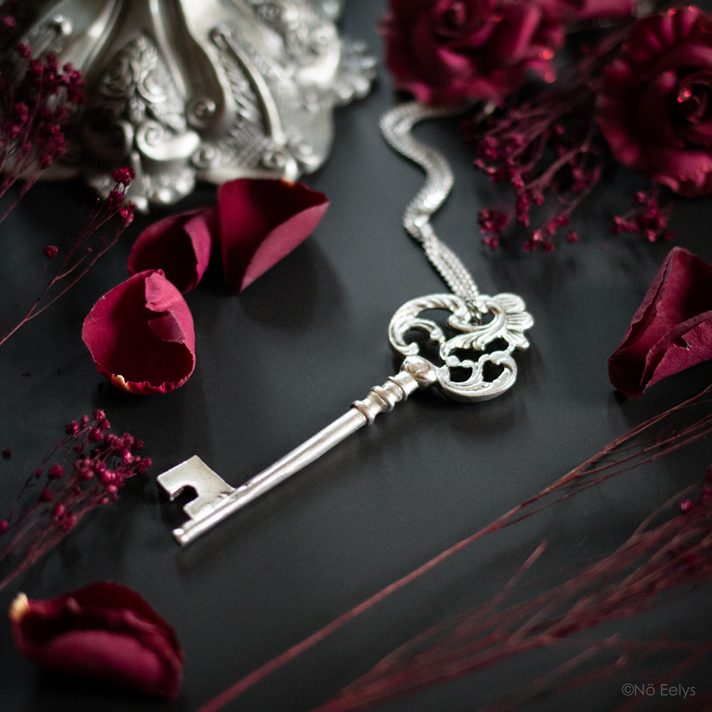 Le collier Finders Keepers Regalrose (silver key necklace) avis revue