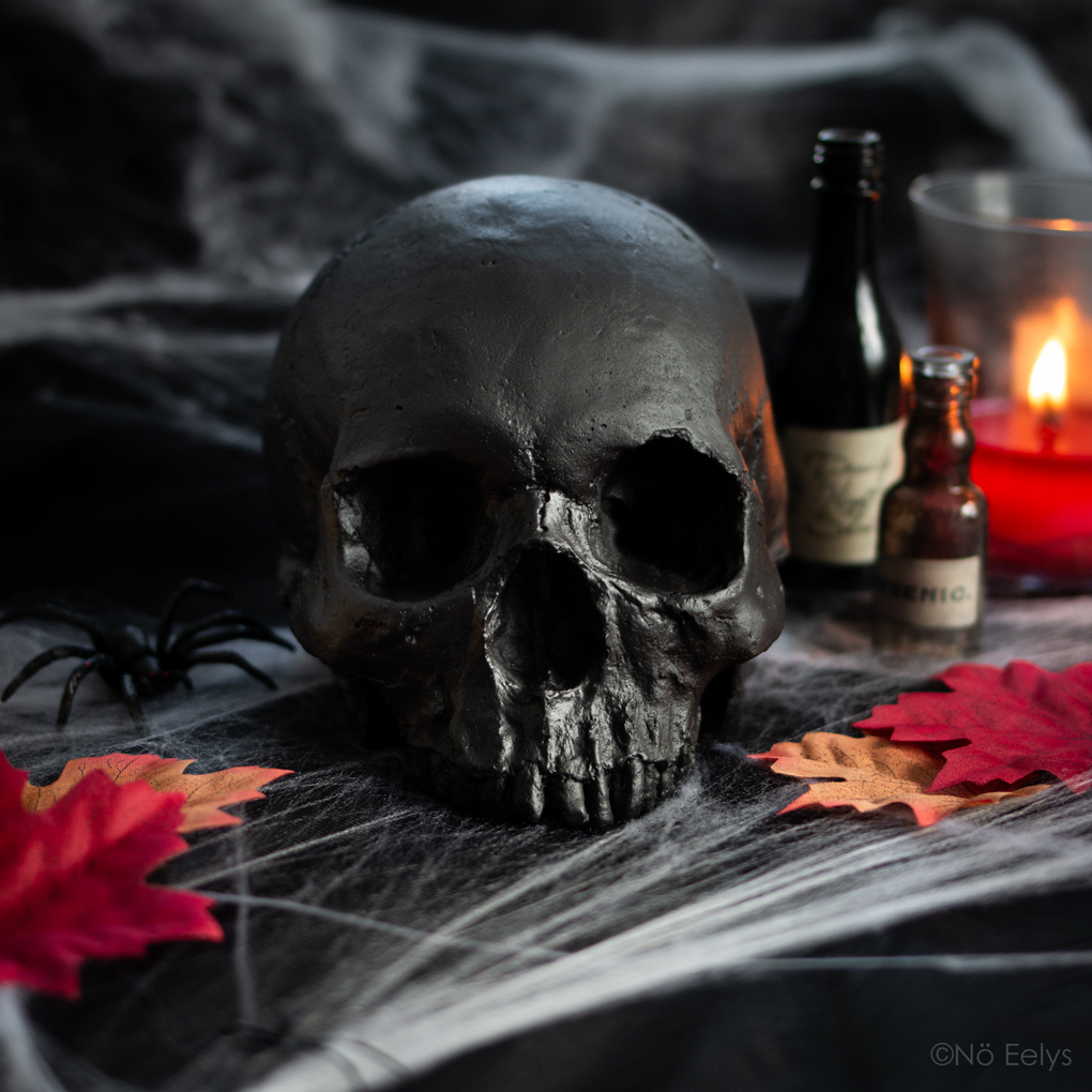 Détails du crâne déco tout noir pour une décoration gothique/halloween fabriqué à la main, avis Vicious Noodles